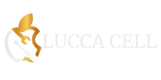 Ecommecer Oficial